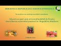 Afaceri cu gust inconfundabil de fructe: dezvoltarea sectorului pomicol în  Republica Moldova
