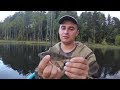 Рыбалка на Новгородчине / Fishing in the Novgorod region