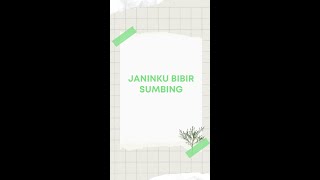 Download Lagu Janin Bibir Sumbing MP3