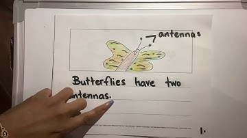 Writing Workshop: 04/23/20