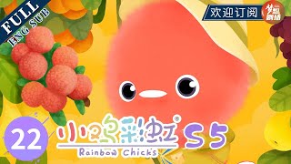 【ENG SUB】云岛危机 Crisis on Cloud Island! | 《小鸡彩虹》Rainbow Chicks S5 EP22