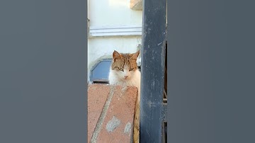 القران الكريم جميل#يوسف_وأسيل#اكسبلور#يوسف#سبحان_الله#قران_كريم#نصائح#توعيه#قرآن#أطمئن#صلى_ع_النبى