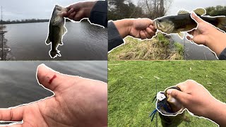 I GOT HOOKED WHILE FISHING? (Chatterbait vs Spinnerbait 1v1) (Spring Bass Fishing)