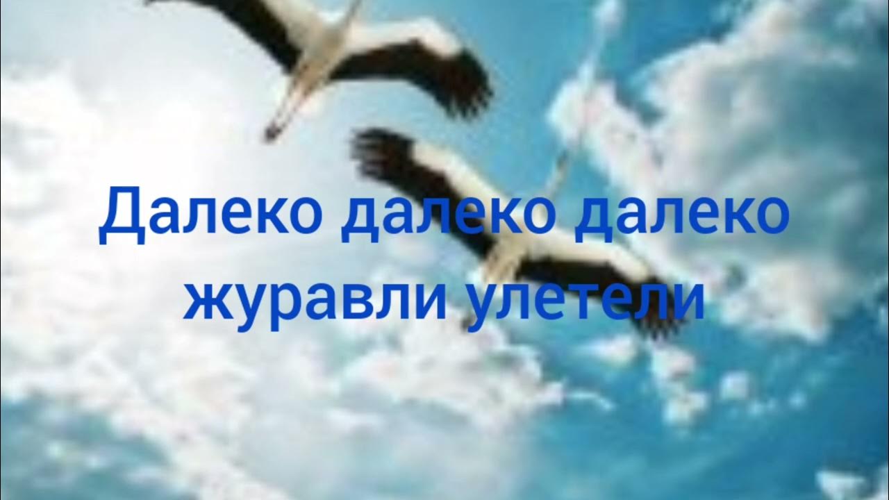 Журавли далеко далеко где бушуют метели. Песня Журавлик. Журавли караоке. Цыган - далеко далеко Журавли улетели. Umaro - далеко - далеко Журавли улетели.