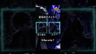 カニ番長VSふうー