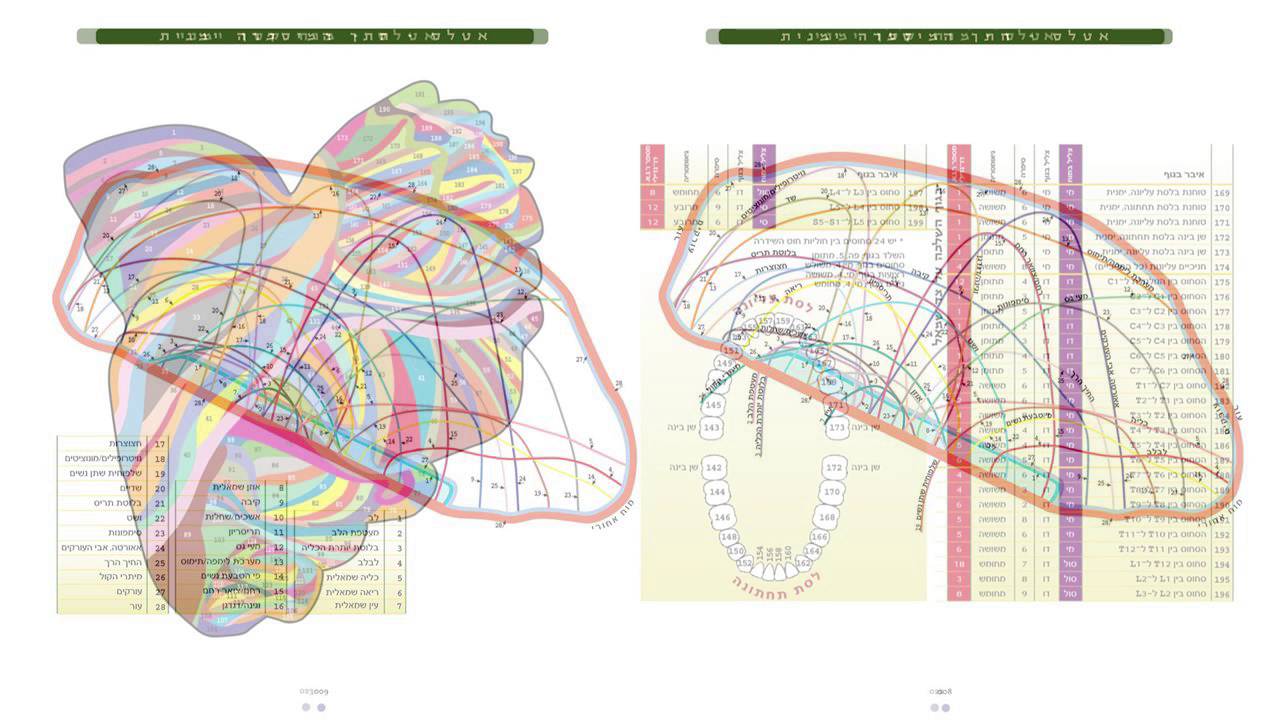 A presentation of The Brain in the Universe & in Existence - Ilana Rogel