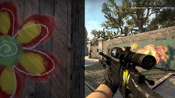 CS:GO | AWP Ace On Overpass