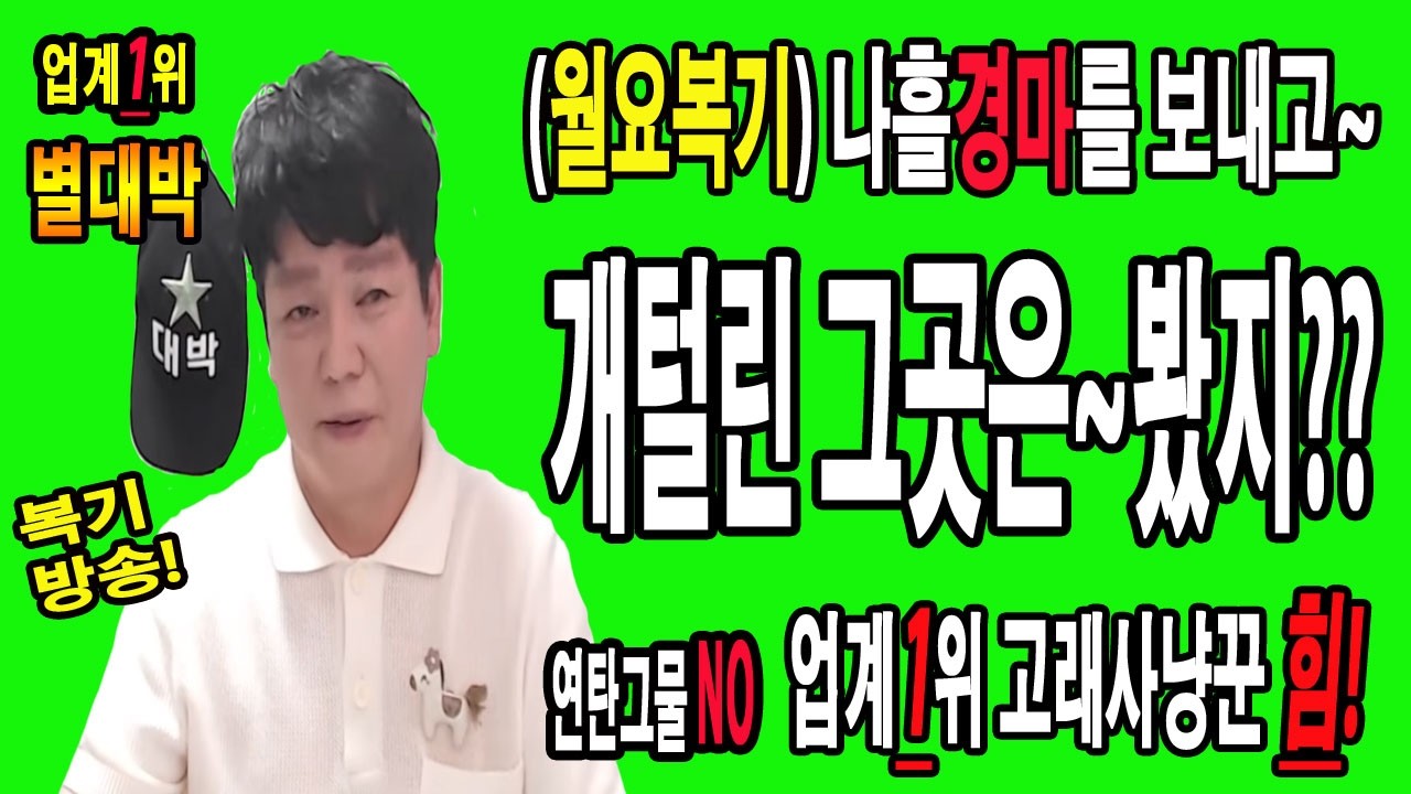 "8월/17일/월요경마예상" 별대박/분석방송