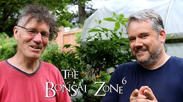 The Mountain Style Cedar Bonsai, Part 2, The Bonsai Zone, Sept 2019