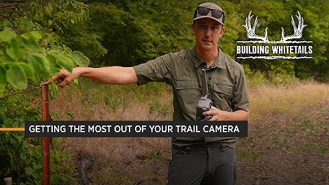 3 Tips for Getting the Most Out of Your Trail Cameras | Building Whitetails | SPYPOINT