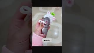 En el campo encontró una pequeña vida. #animals #animales