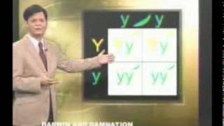 Darwin on The Explainer Part 1