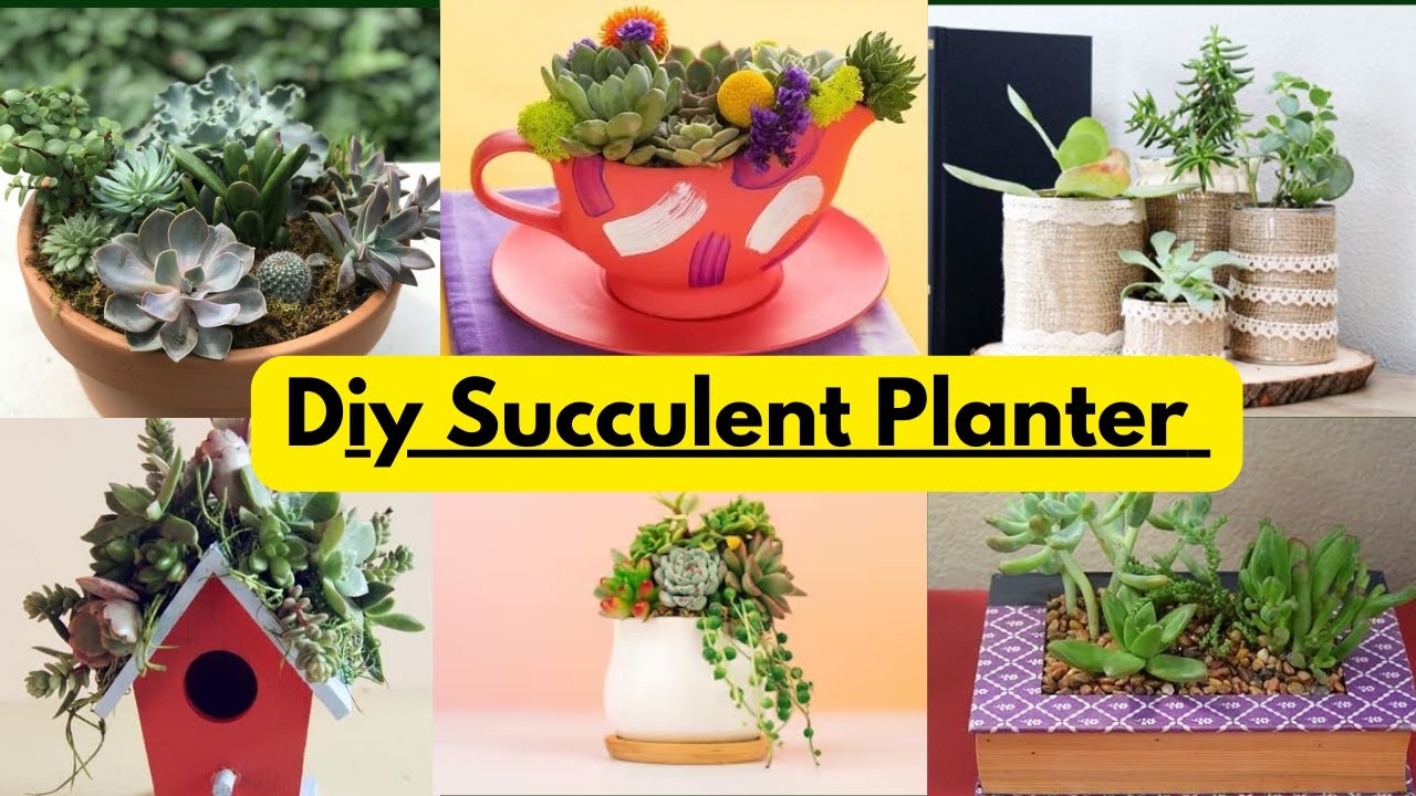30 Indoor and Outdoor Succulent Planter Ideas/ Delightful DIY Succulent ...