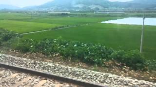장성가는길 나홀로 출사기 무궁화호 1441호 용산발 순천행 디젤기관차 7400호대 견인 (정읍~백양사)