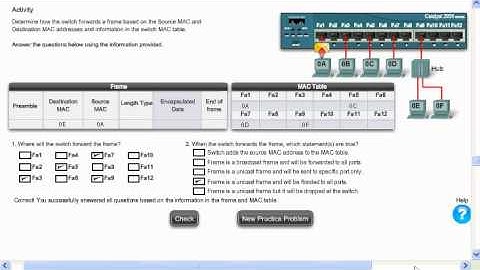 6- CCNA Tutorial: Networking Switch case 6 (CCNA)