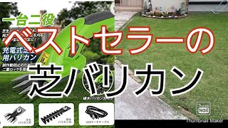 Amazonで購入した芝バリカンでキワをスッキリする。