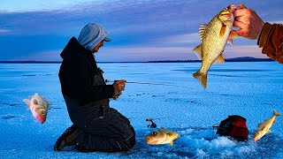 Ice fishing in Northern Maine by Northeast Outdoors 69 views 2 months ago 8 minutes, 18 seconds