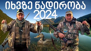 იხვზე ნადირობა ფიტულებით 2024 !