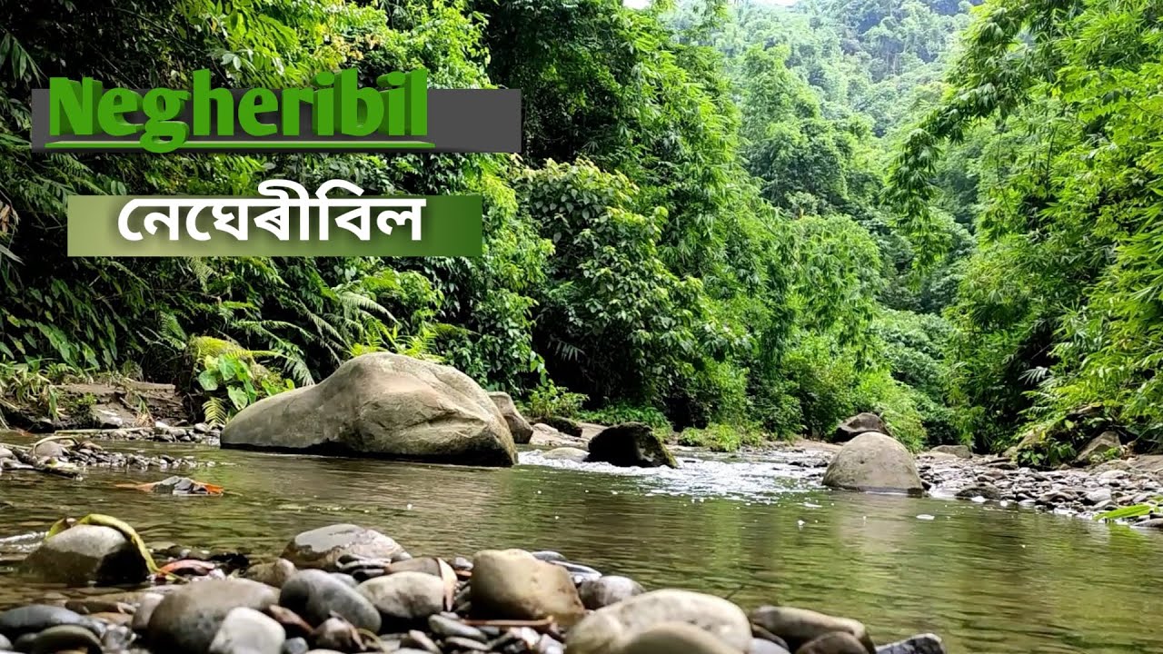 Negheribil picnic spot👌 || Merapani || Nagaland || Golaghat ||
