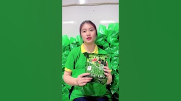 #shorts  Trà Cà Gai Leo Túi Lọc Sadu Bảo Vệ Gan Hiệu Quả Tăng Cường Chức Năng Gan