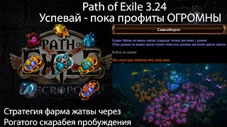 : Path of Exile 3.24 |                
