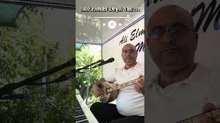 Ali̇ Elmas Yardan Ayrı Benim Gönlüm Sonbahar..