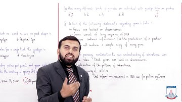 Class 10 - Biology - Chapter 15 - Lecture 14 Exercise MCQs - Allied Schools