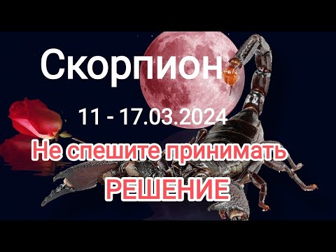 СКОРПИОН 🦂🌹11 - 17 марта 2024 года..Не спешите принимать РЕШЕНИЕ 👆⚖️🌞