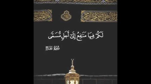 آيات بصوت الشيخ رعد الكردي صوت يخشع له القلب ❤️