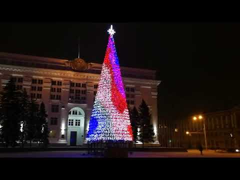 Самая дорогая елка