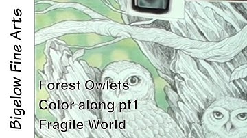 Polychromos color along and lesson - Owlets pt 1: Fragile world