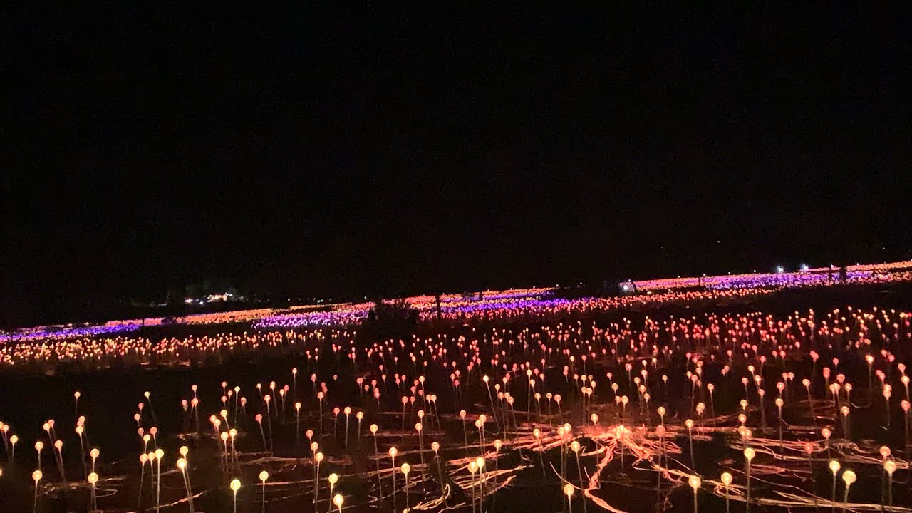 Mesmerising Field of Lights at Uluru: A Stunning Nighttime Spectacle
