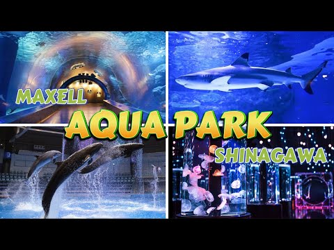 MAXELL AQUA PARK SHINAGAWA / WHERE TO GO IN TOKYO / PINOY ENGINEER IN JAPAN
