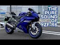 【バイク納車動画】ヤマハYZF-R6心地良いピュアサウンド‼︎   #モトブログ