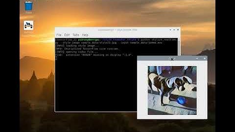 Real time style transfer on Raspberry Pi using TensorFlow Lite