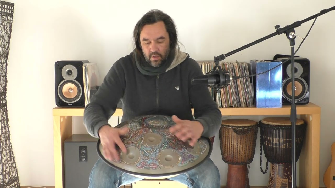 Handpan D-Moll Bunt gebraucht