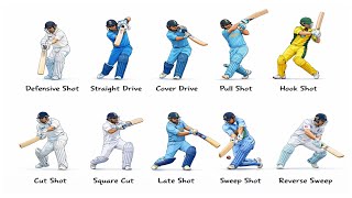 EVERY CRICKET SHOT explained in 3 minutes 🏏 