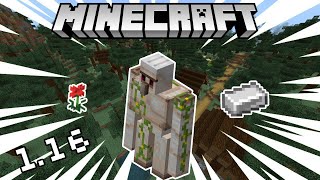 How to Kill an Iron Golem in Minecraft (1.19) #shorts