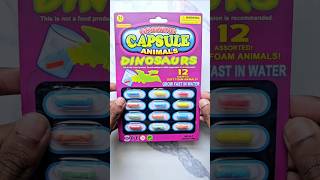 Magical Dinosaur Egg