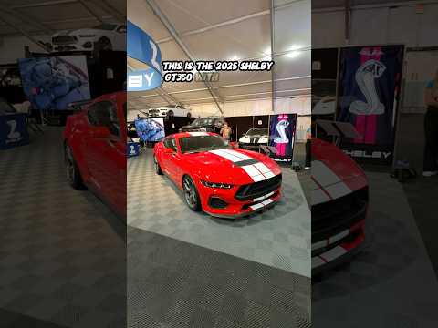 2025 Shelby GT350