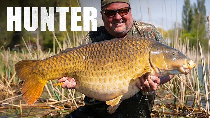 SESSION OF A LIFETIME  Jim Shelley & Elliott Gray ...