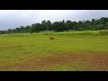 Maiden Flight of ESM AICHI D3A1