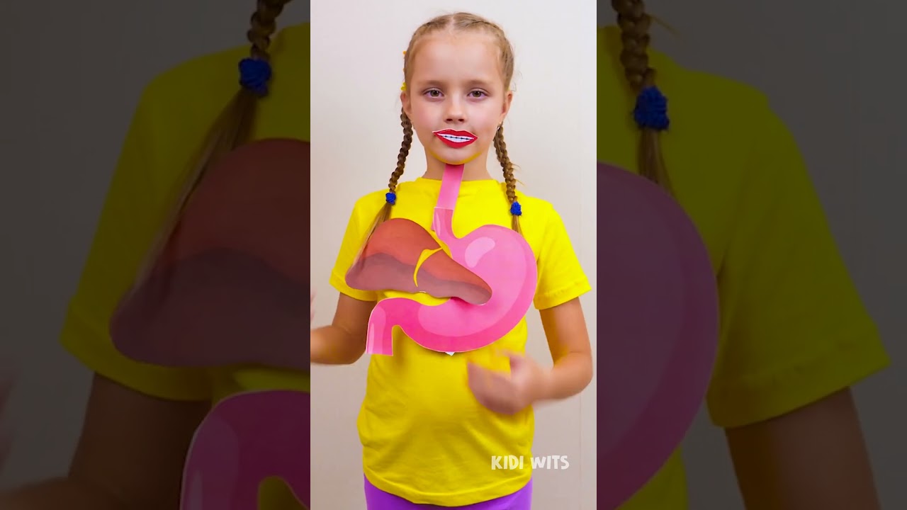 🧠😄 From Mouth to Tummy! How Digestion Works Step by Step! 🍽️✨ 