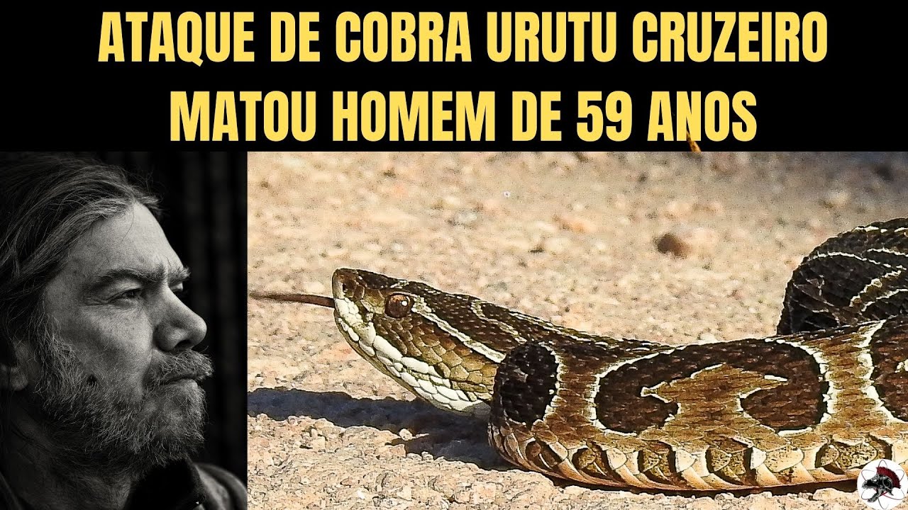 Ataque de Urutu cruzeiro matou Homem de 59 anos | Biólogo Henrique o Biólogo das Cobras