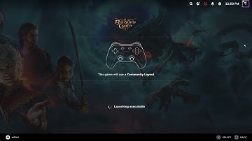 How To Play With Controller On PC Baldur