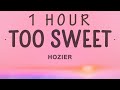 Hozier - Too Sweet | 1 hour lyrics