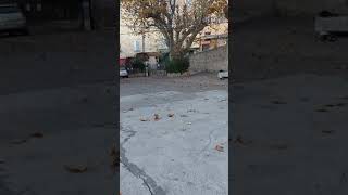 Training Roller Derby Sans 3D Ni 360