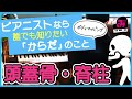 【ピアノ脱力】⑦第２章/ 頭蓋骨・脊柱（ピアニストなら誰でも知りたいからだのこと）