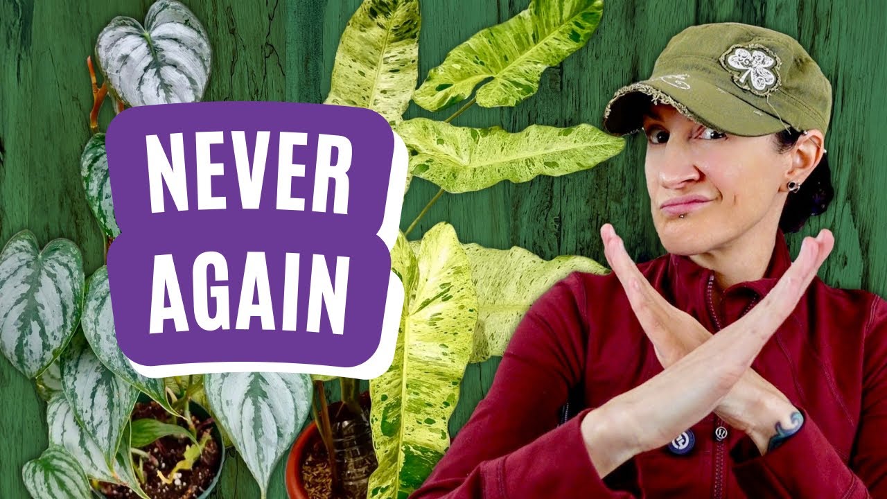 10 Houseplants I Will NEVER Buy or Sell Again!