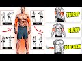 How to Get Bigger Arms: Bicep and Tricep Workouts